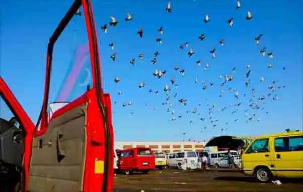 Slain KZN taxi official named